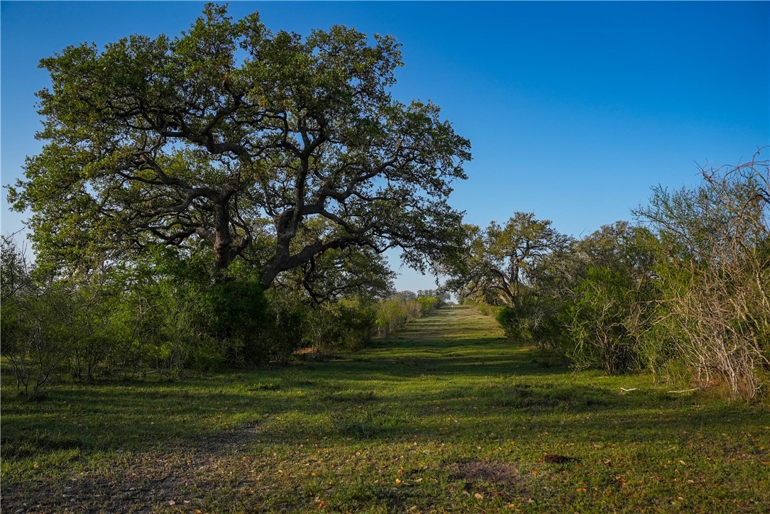 8440 State Highway 239 W Property Photo