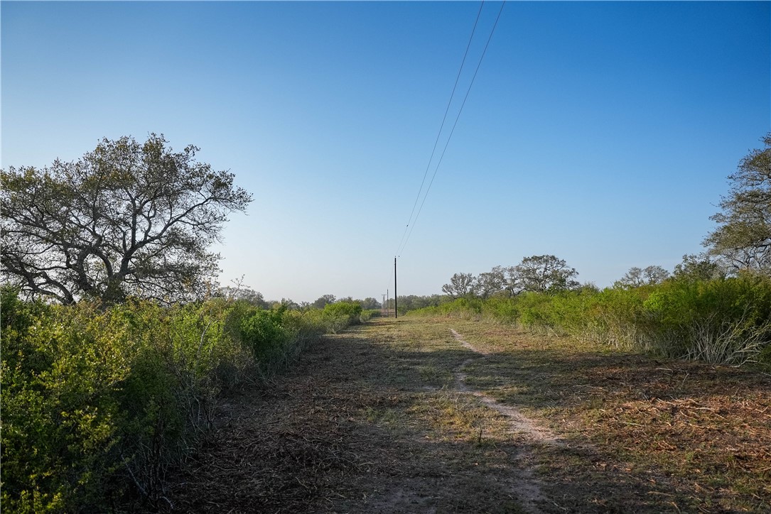 8440 State Highway 239 W Property Photo 3