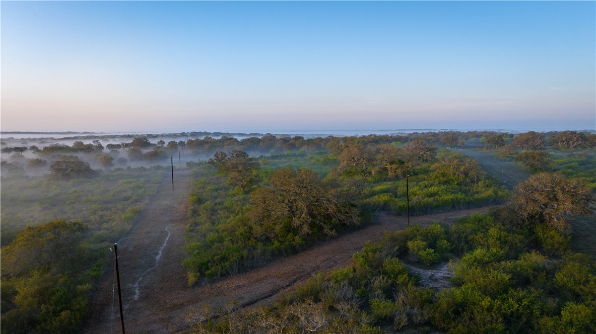 8440 State Highway 239 W Property Photo 7