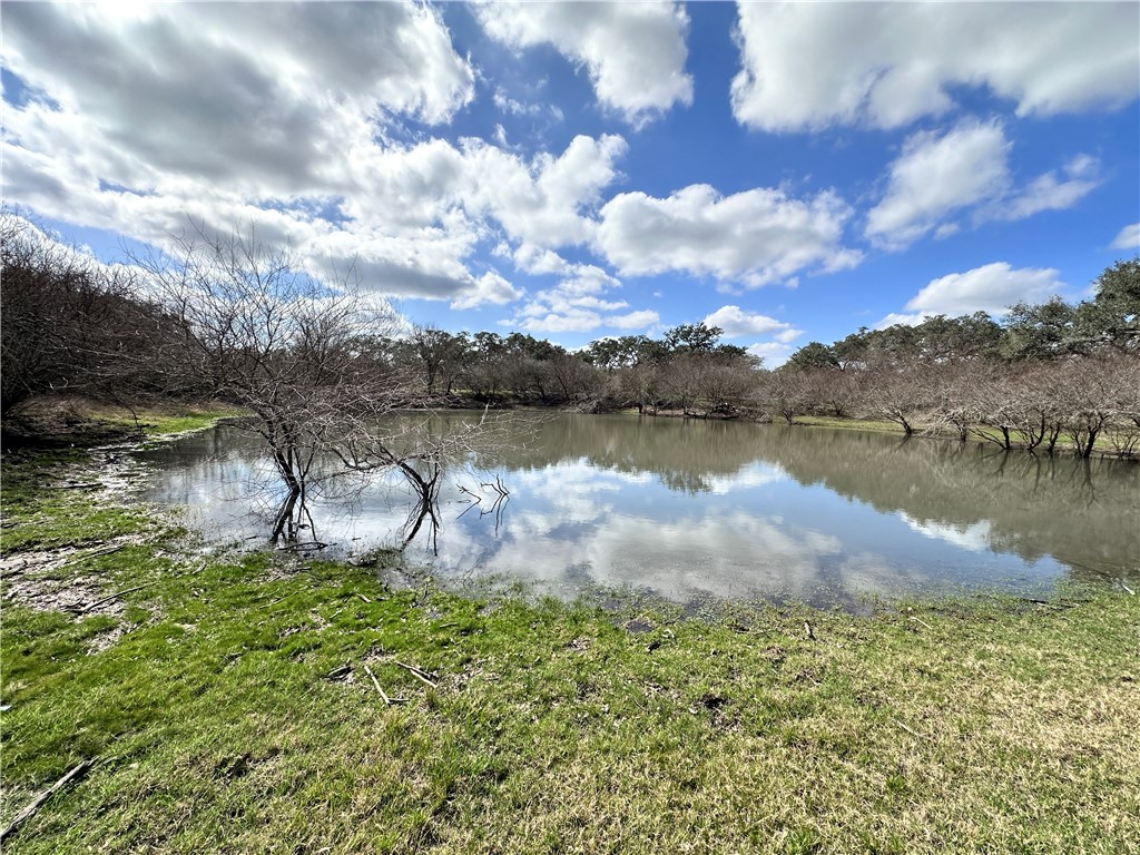 8440 State Highway 239 W Property Photo 17