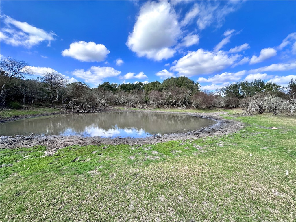 8440 State Highway 239 W Property Photo 21