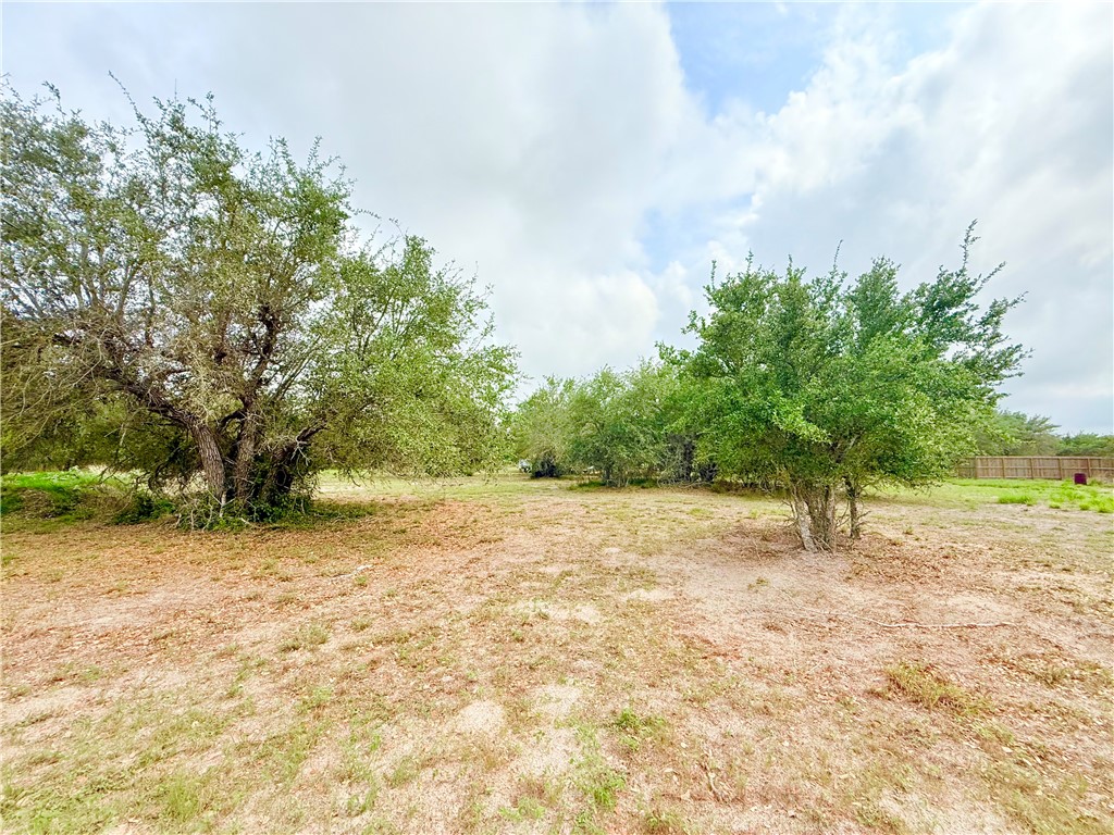 2111 Lone Star Property Photo 34