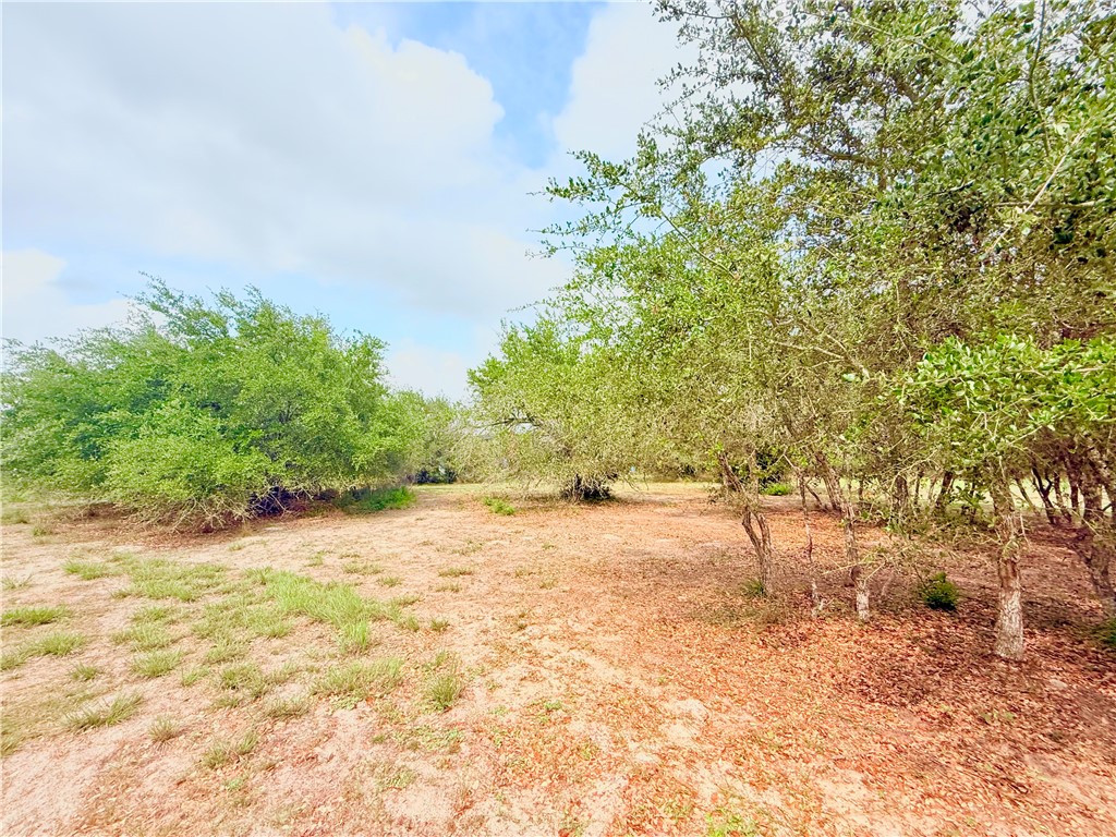 2111 Lone Star Property Photo 36