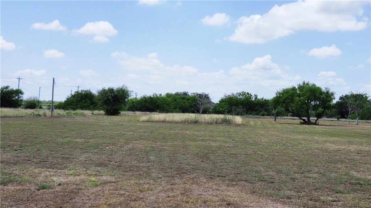 230 County Road 348 Property Photo 2