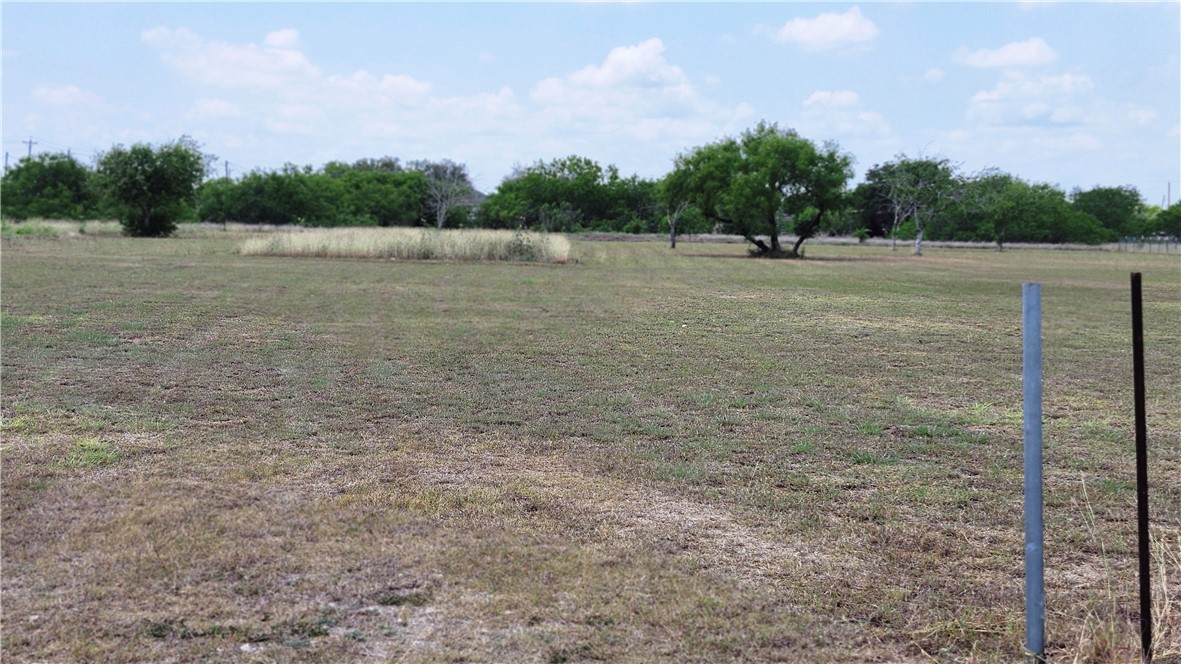 230 County Road 348 Property Photo 3