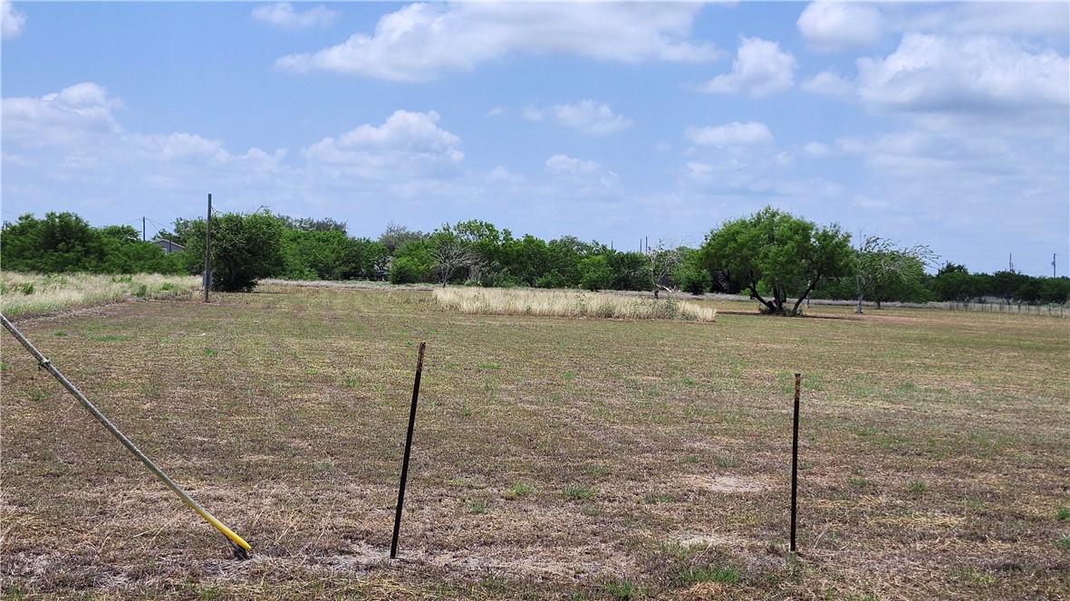 230 County Road 348 Property Photo 5