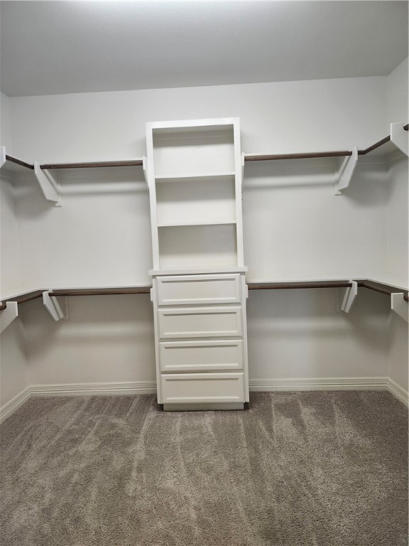 3141 Piranha Dr Property Photo 29