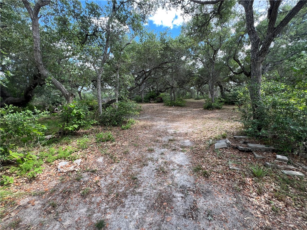 2311 Holden Road Property Photo 12