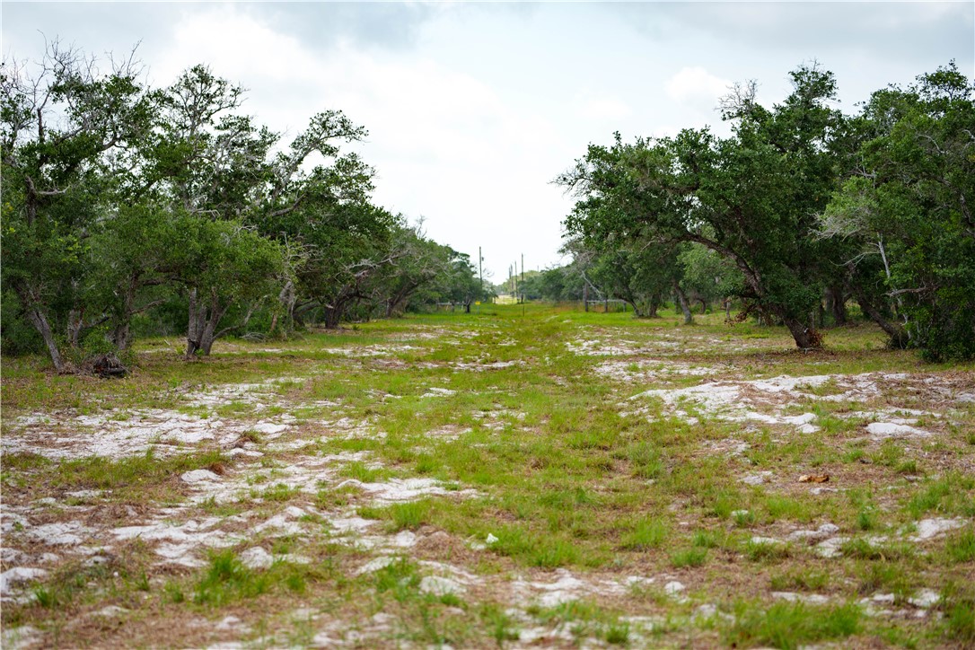 704 State Highway 35 Hwy Property Photo 2