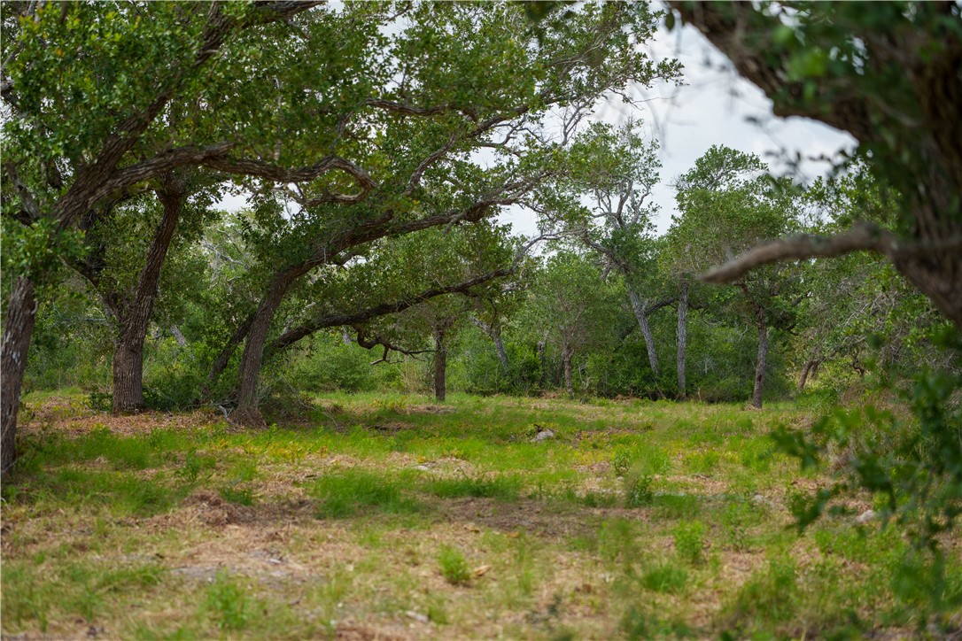 704 State Highway 35 Hwy Property Photo 12