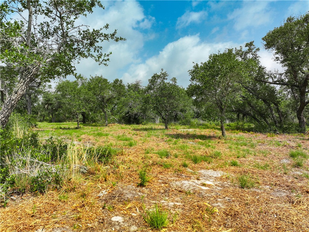 704 State Highway 35 Hwy Property Photo 26