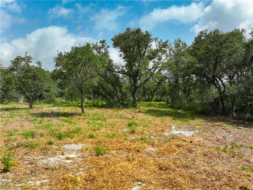 704 State Highway 35 Hwy Property Photo 27