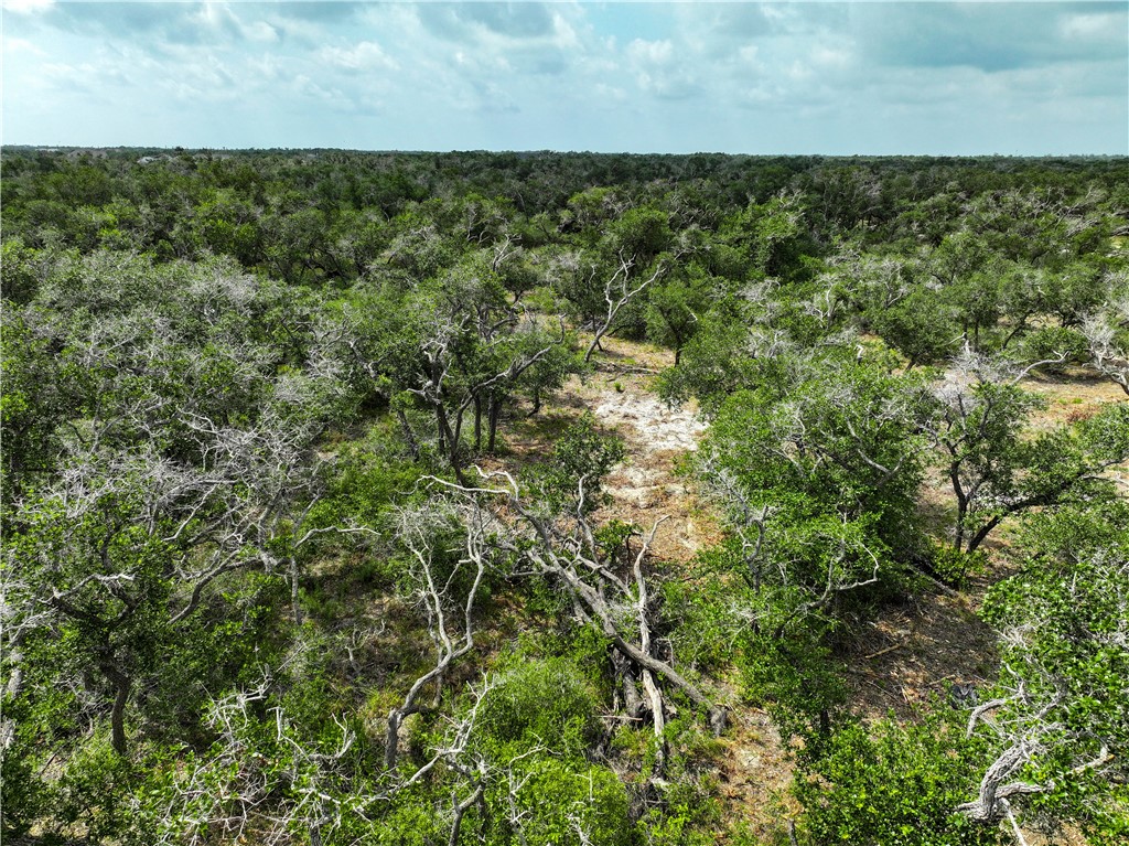 704 State Highway 35 Hwy Property Photo 30