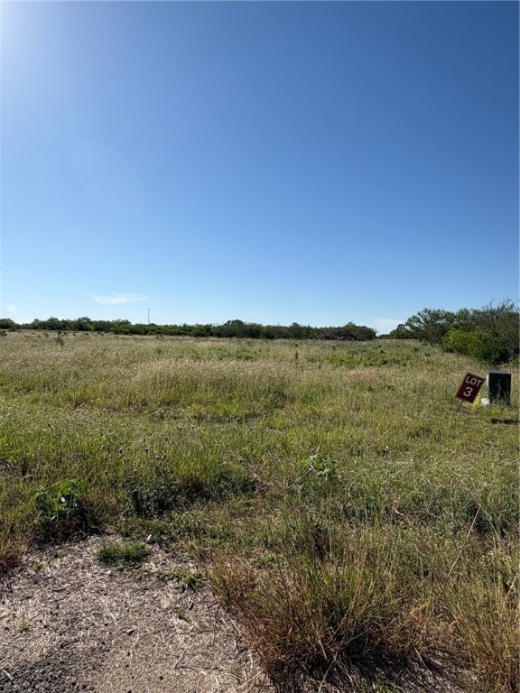 117 Paisano Trail Property Photo 6