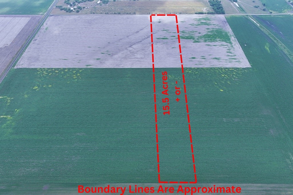 Tbd Cr 2367 Property Photo 2