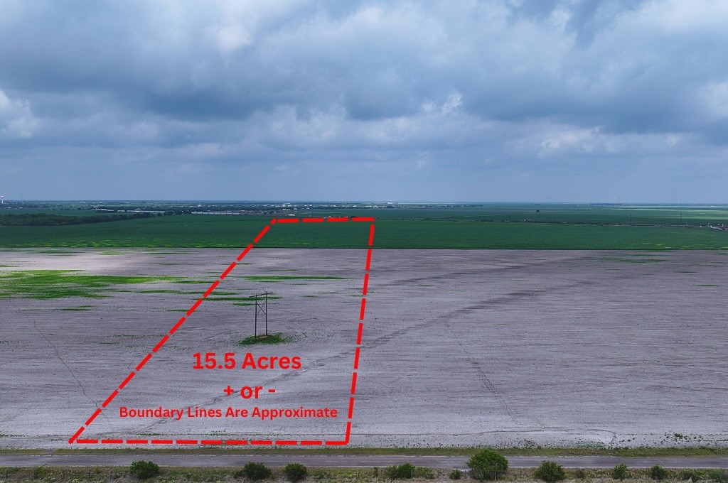 Tbd Cr 2367 Property Photo 4