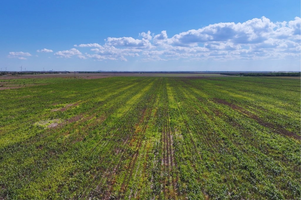 Tbd Cr 2367 Property Photo 5