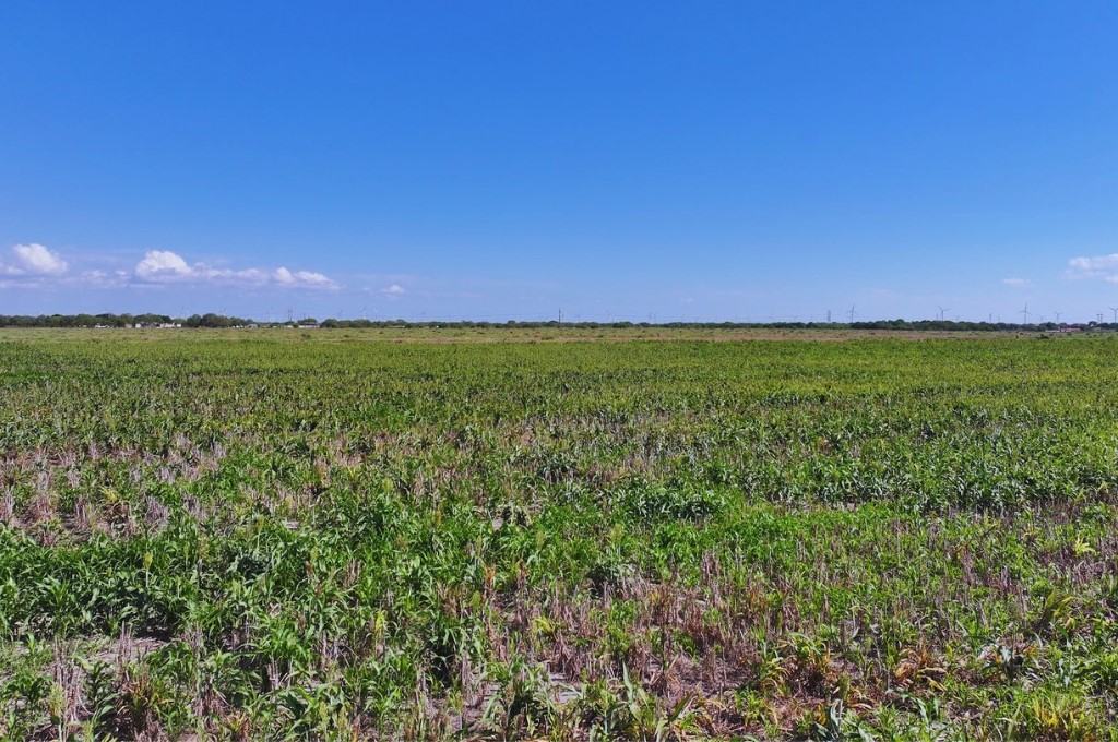 Tbd Cr 2367 Property Photo 6