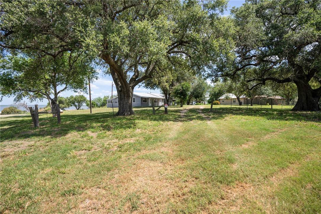 128 Live Oak Ln Property Photo 4
