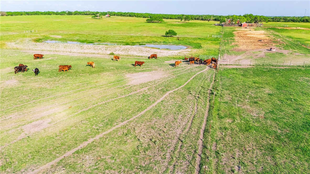 00 Fm 534 & Fm 3162 Property Photo 16