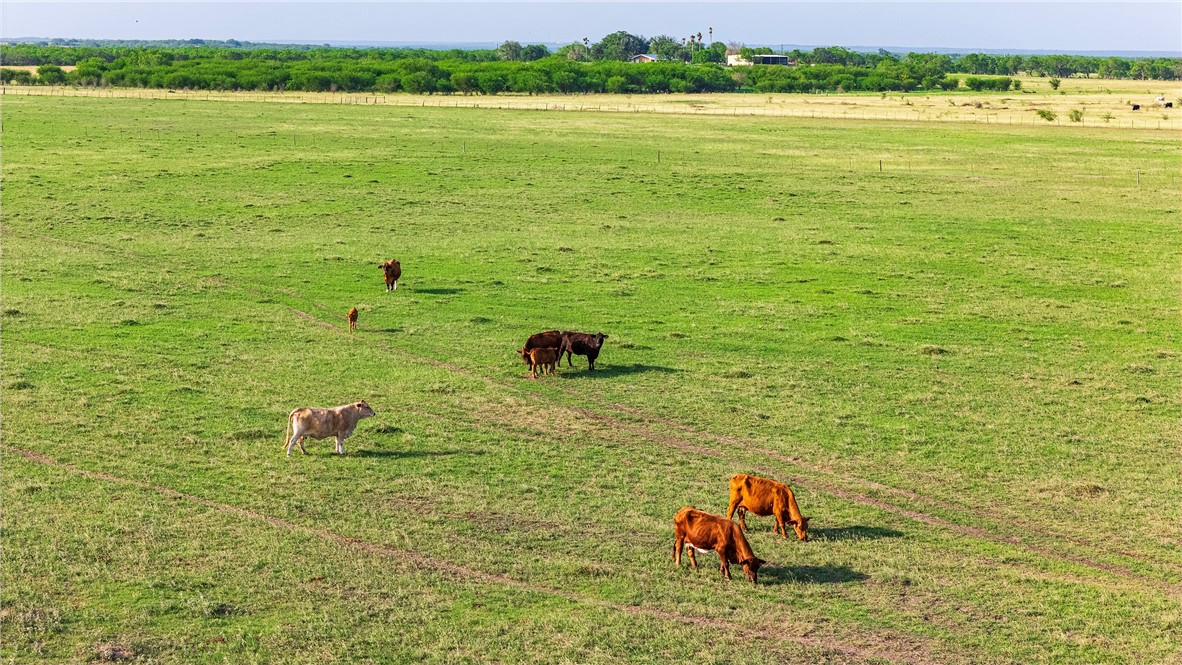 00 Fm 534 & Fm 3162 Property Photo 18