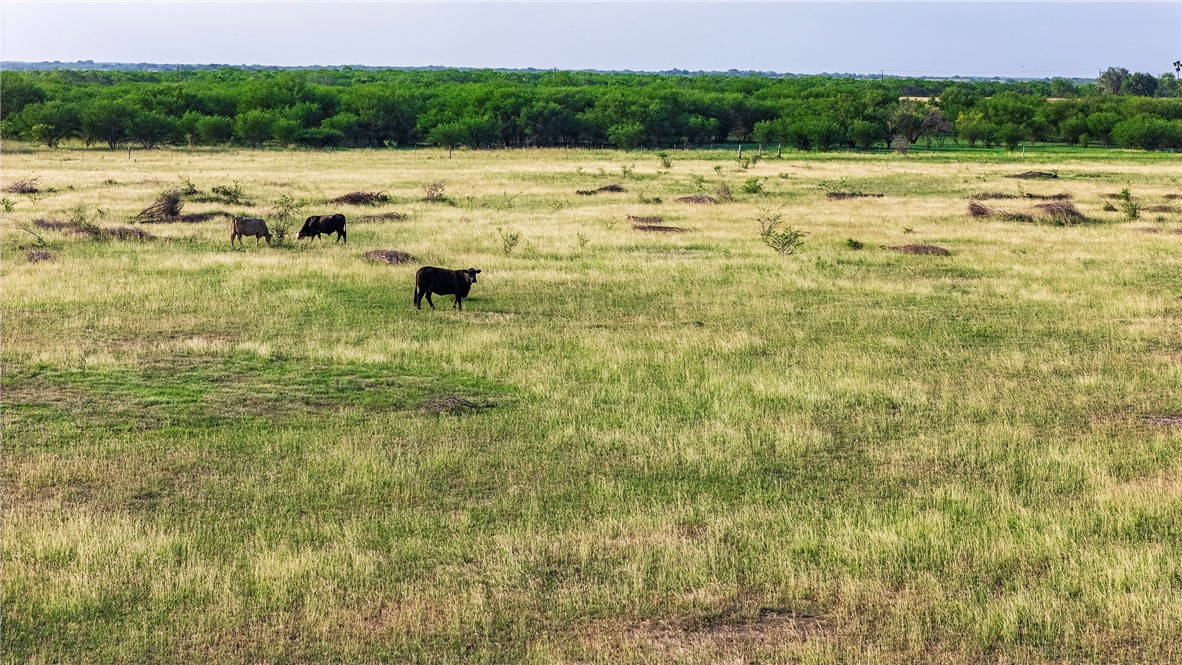 00 Fm 534 & Fm 3162 Property Photo 21