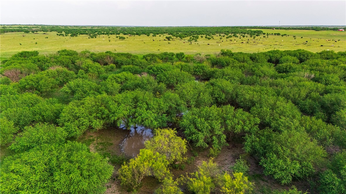 00 Fm 534 & Fm 3162 Property Photo 23