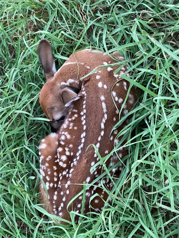 100 Choke Canyon Property Photo 29
