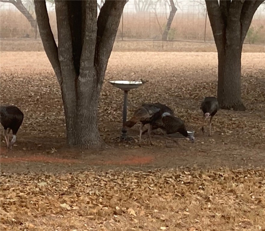 100 Choke Canyon Property Photo 30