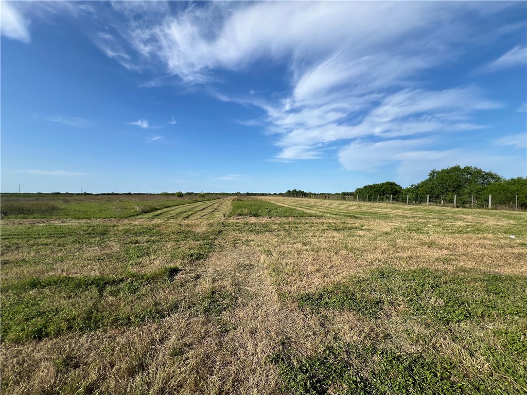 4416 County Road 1177 Property Photo 4