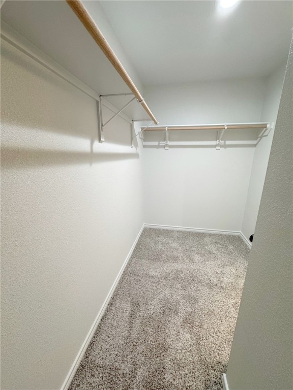 9133 Neena Dr Property Photo 17