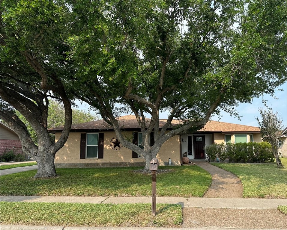 113 Poesta Dr Property Photo 1