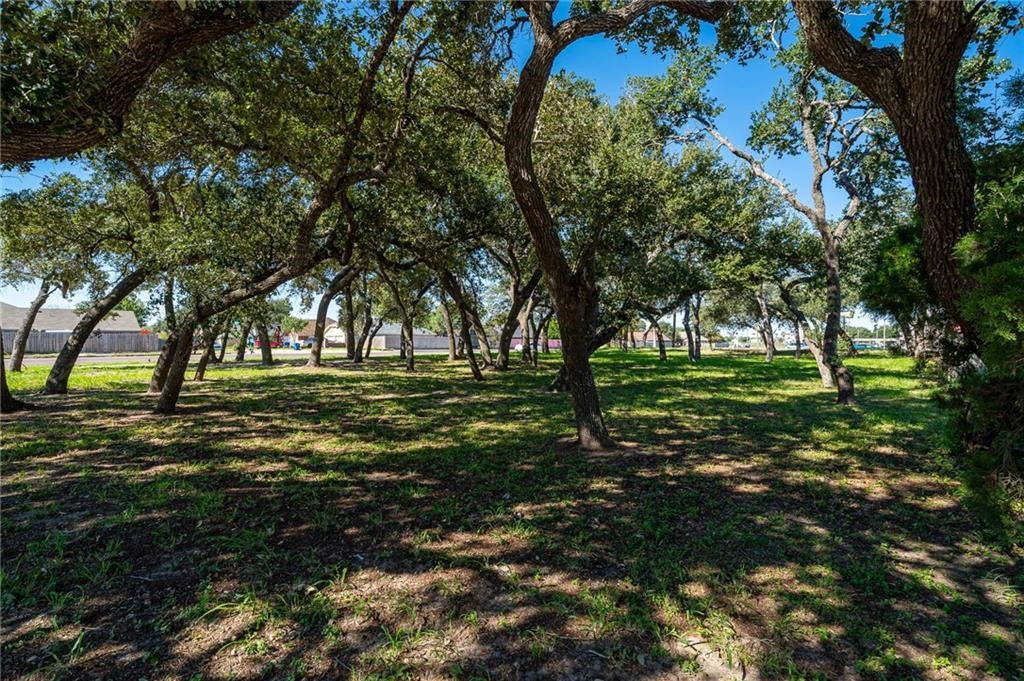 0 Tx-361 Property Photo 4