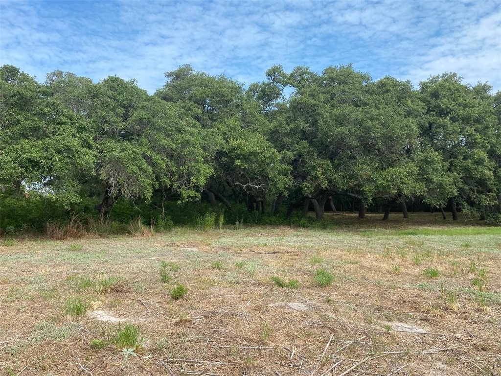 0 Avenue A Property Photo 6