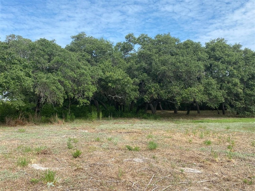 0 Avenue A Property Photo 12