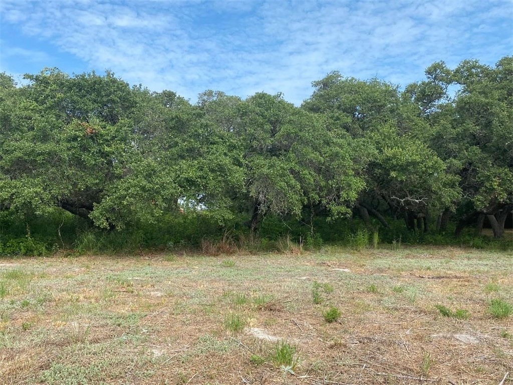 0 Avenue A Property Photo 14