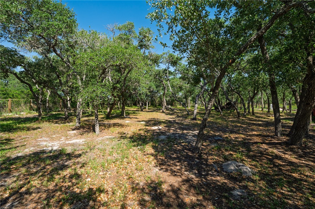 224 Portia Ave Property Photo 32