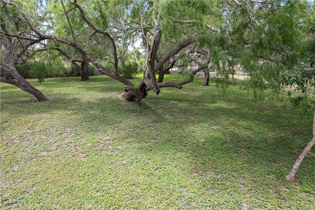 24757 County Road 340 Property Photo 5