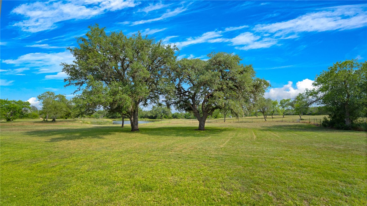 209ac County Road 104 Property Photo 26