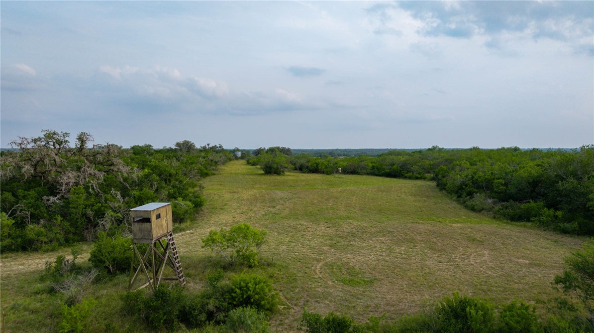 209ac County Road 104 Property Photo 32