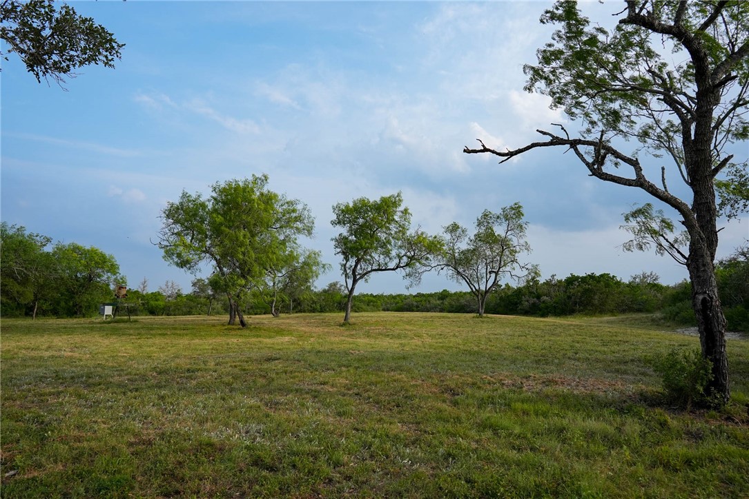 209ac County Road 104 Property Photo 33
