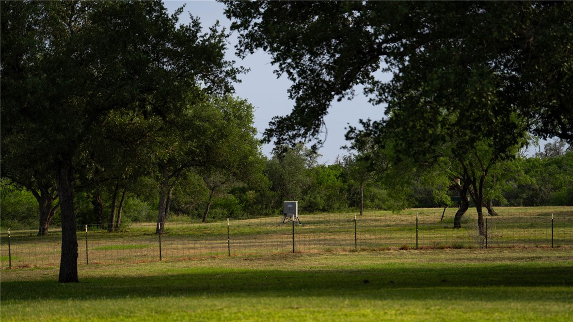 209ac County Road 104 Property Photo 34