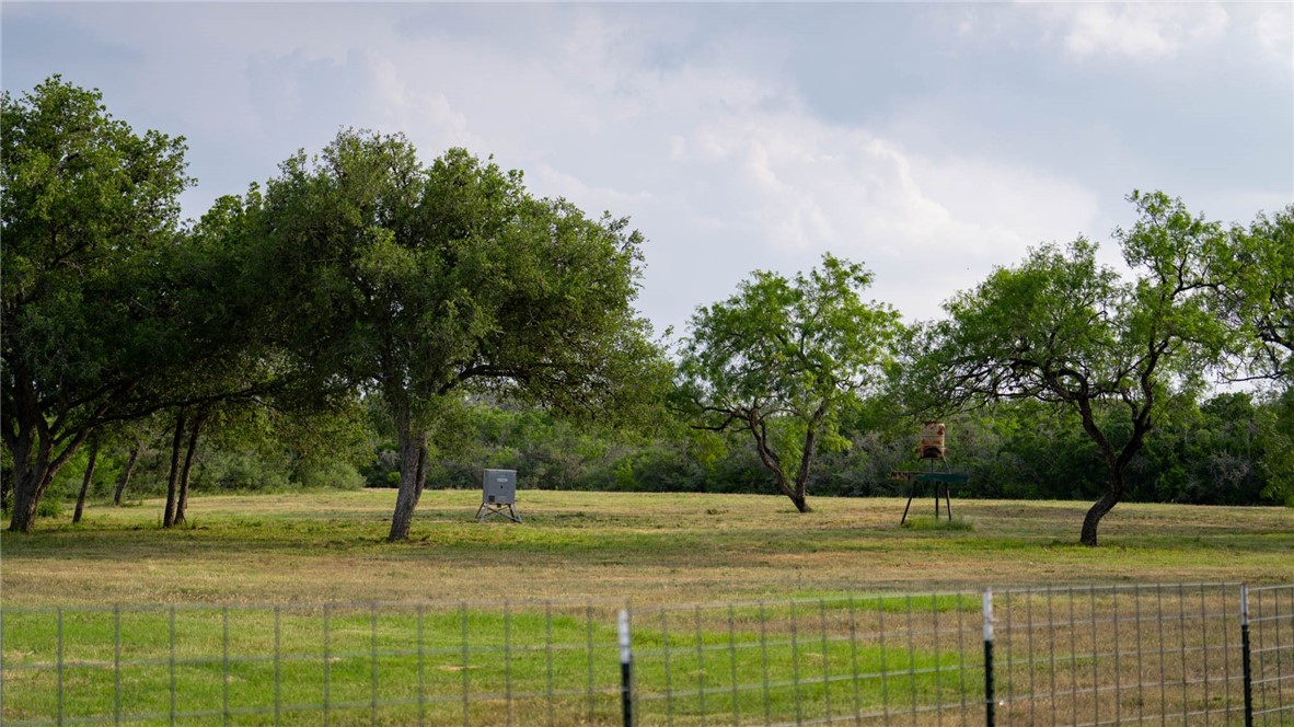 209ac County Road 104 Property Photo 36