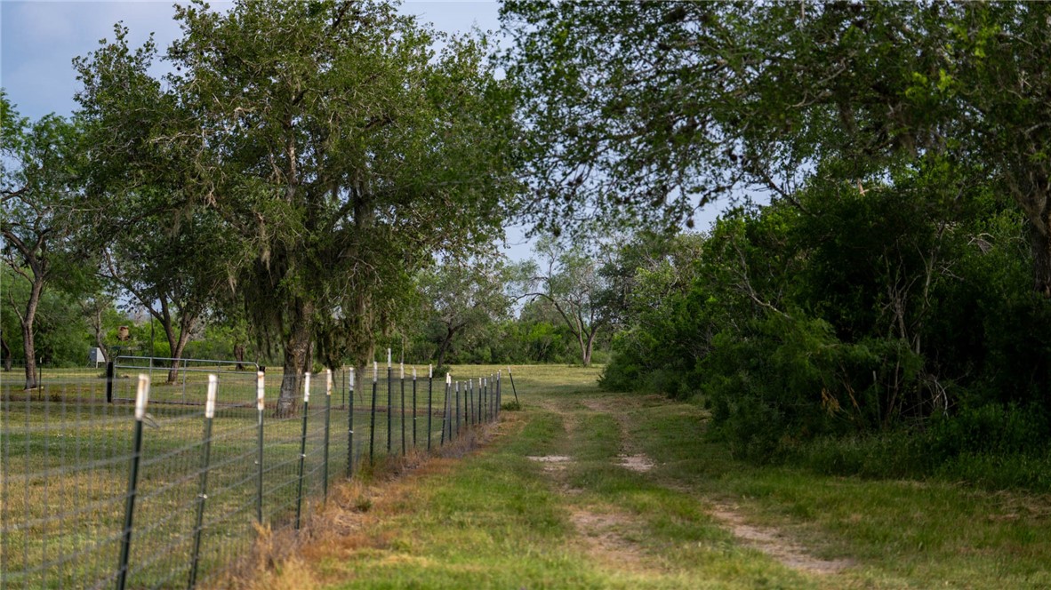 209ac County Road 104 Property Photo 37
