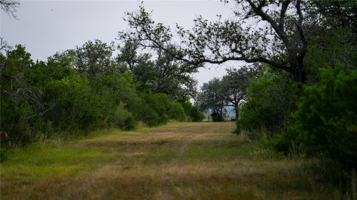 209ac County Road 104 Property Photo 39