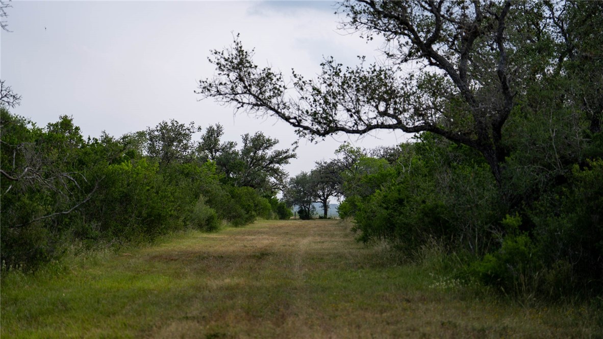 209ac County Road 104 Property Photo 40