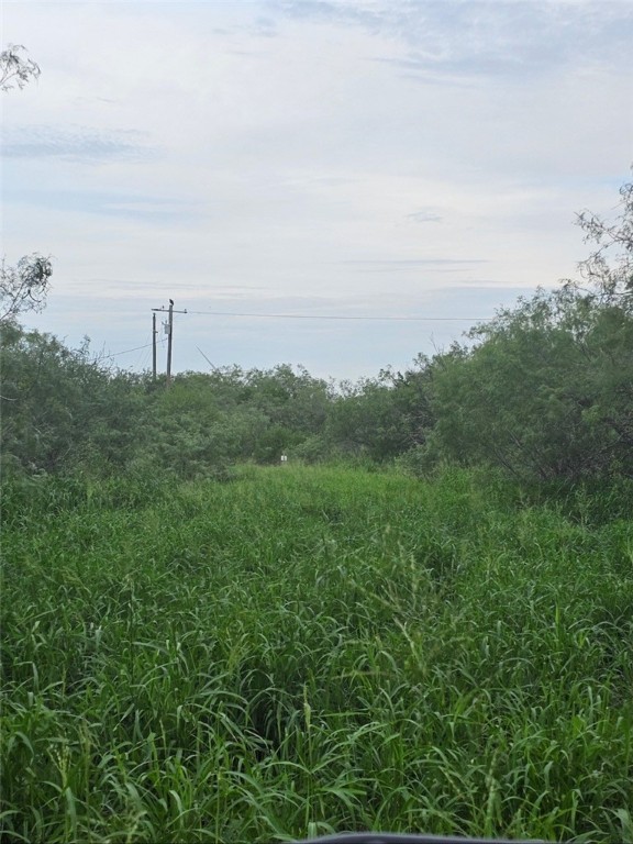 00 Fm 666 (sunnyvale Dr) Property Photo 11