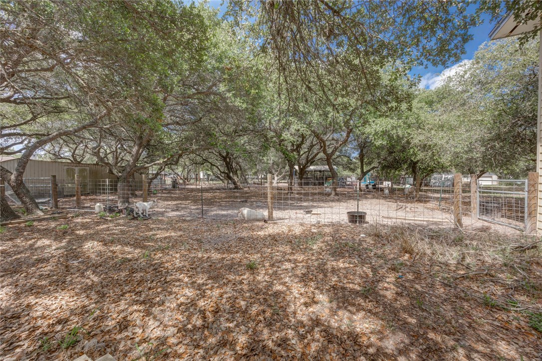 2281 County Road 1942 Property Photo 4