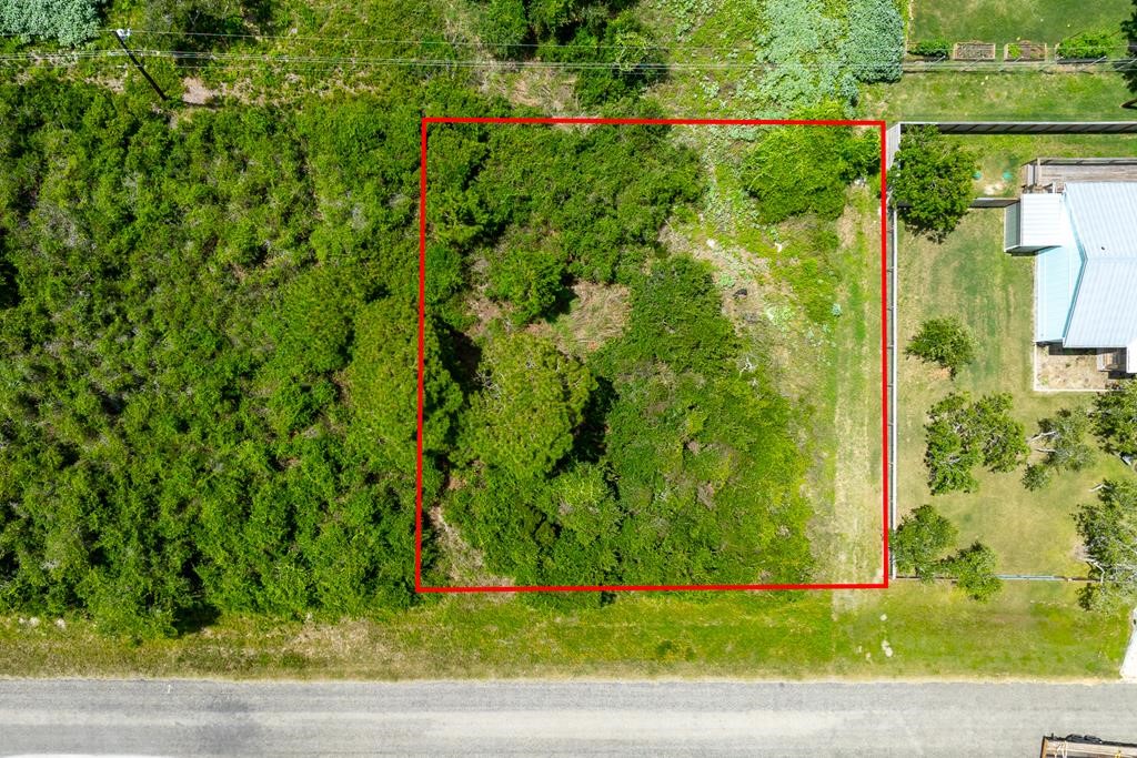 411 Charlotte Dr Property Photo 16