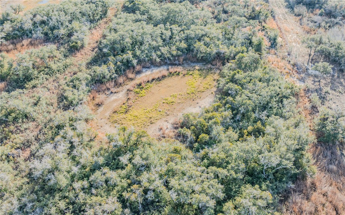 2011 Smith Property Photo 2